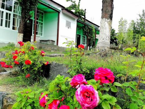 Cherry Garden Terrace Hotel & Restaurant — Gilgit — photo 4