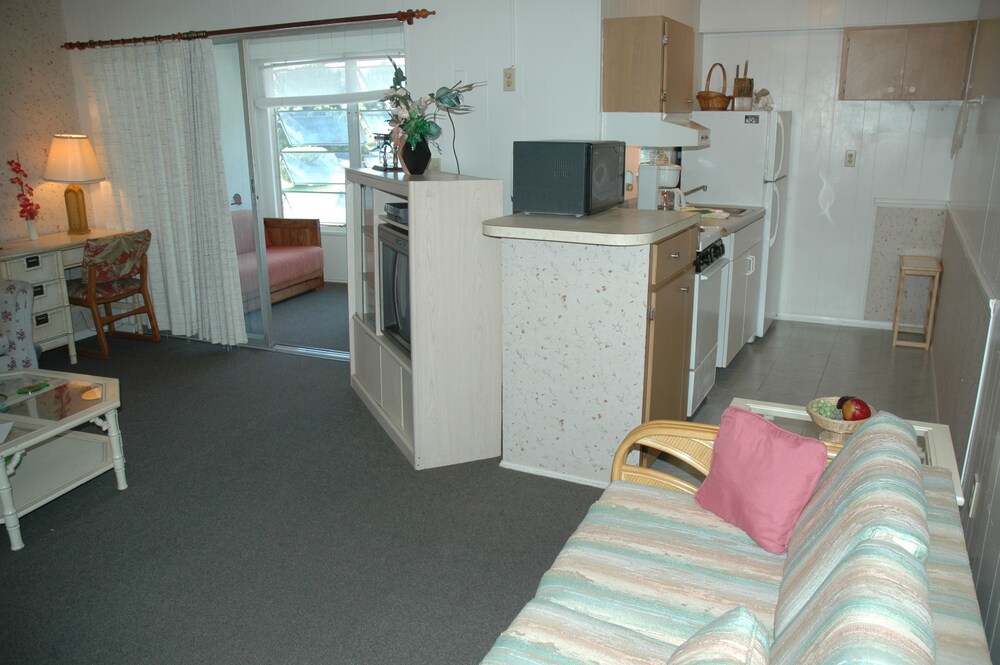 Dolphin Inn Resort - photo 26