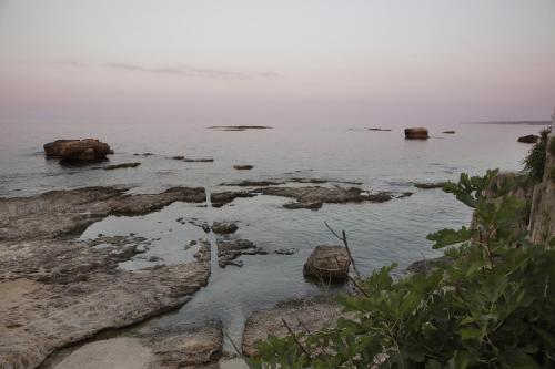 Green House 1 Min dal Mare Vicinissimo ad Ortigia e al Teatro parcheggio fuori ZTL in strada gratuito — 4-Star Luxury Hotel in Siracusa, Italy