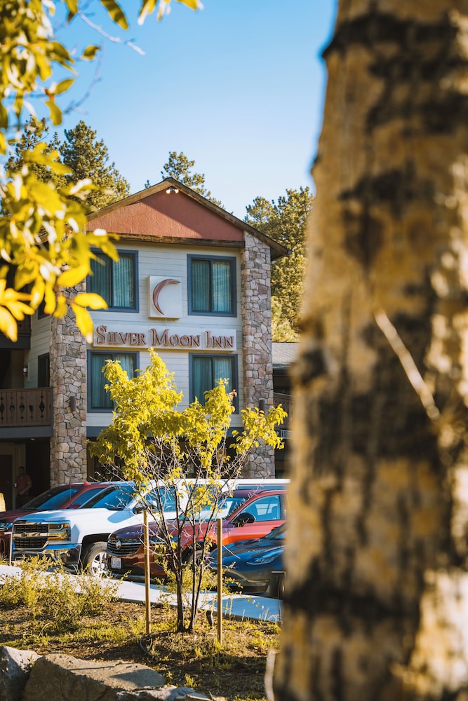 Silver Moon Inn - photo 175