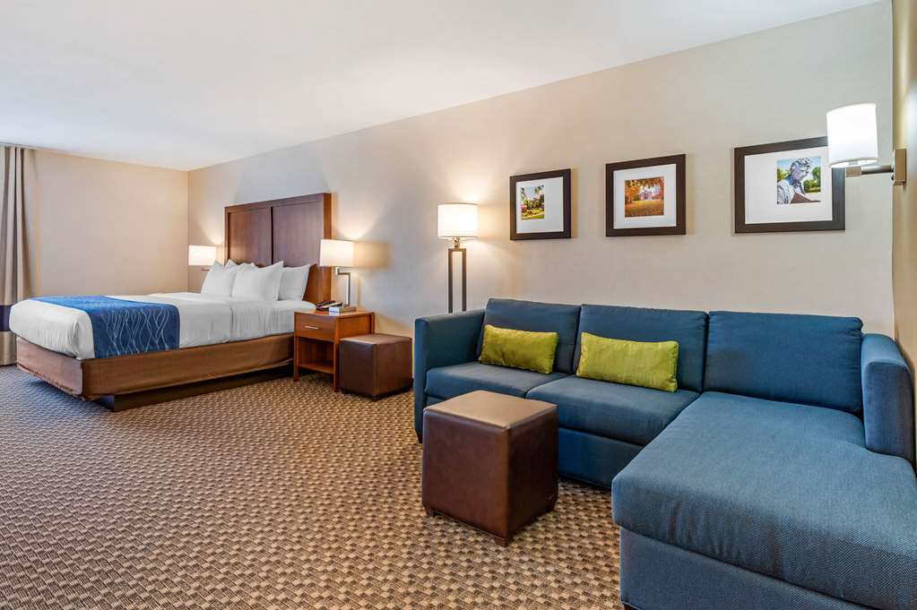 Comfort Inn & Suites Near Route 66 - photo 27