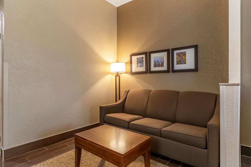 Comfort Suites Grand Rapids South - photo 29