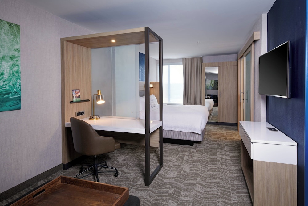 SpringHill Suites by Marriott Wixom Novi - photo 6