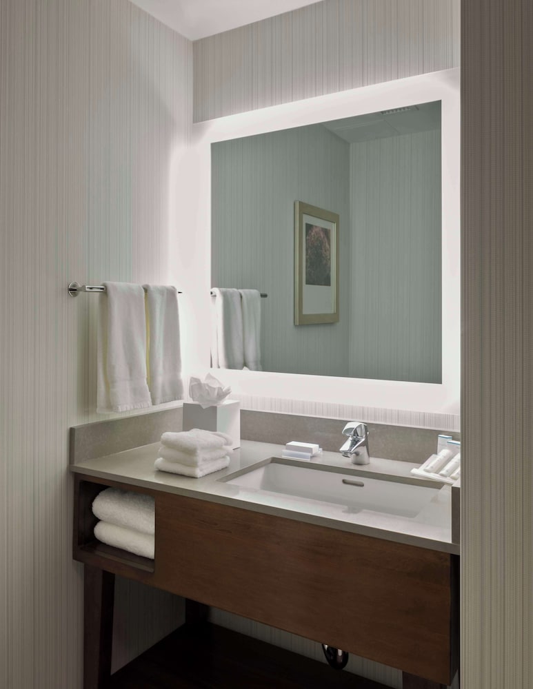 Hilton Garden Inn Long Island City New York - photo 22