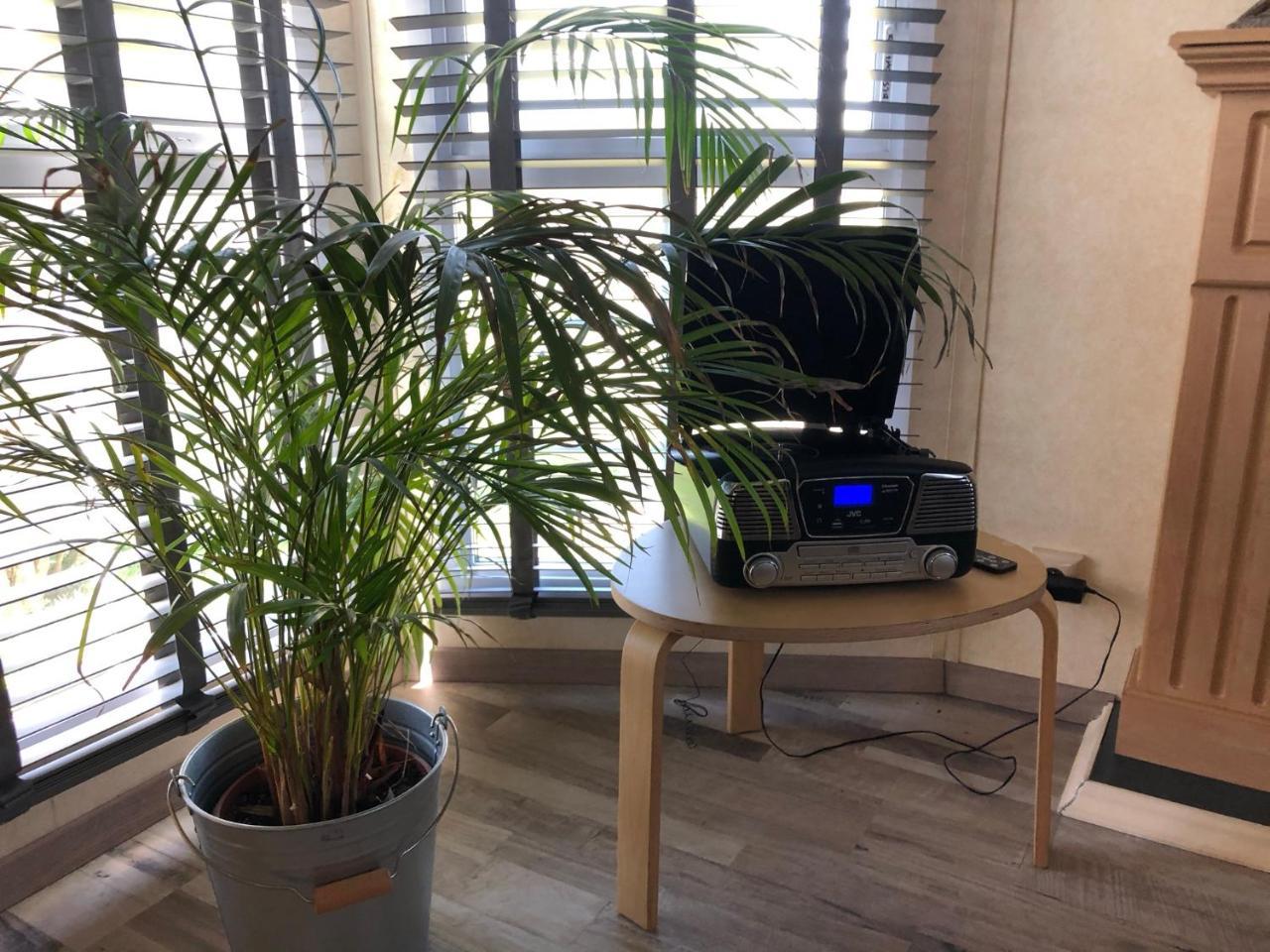Anvibe 1 — Unknown City — photo 3