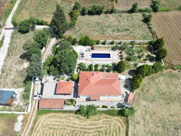 Green Grapes - last minute hotel in Fethiye