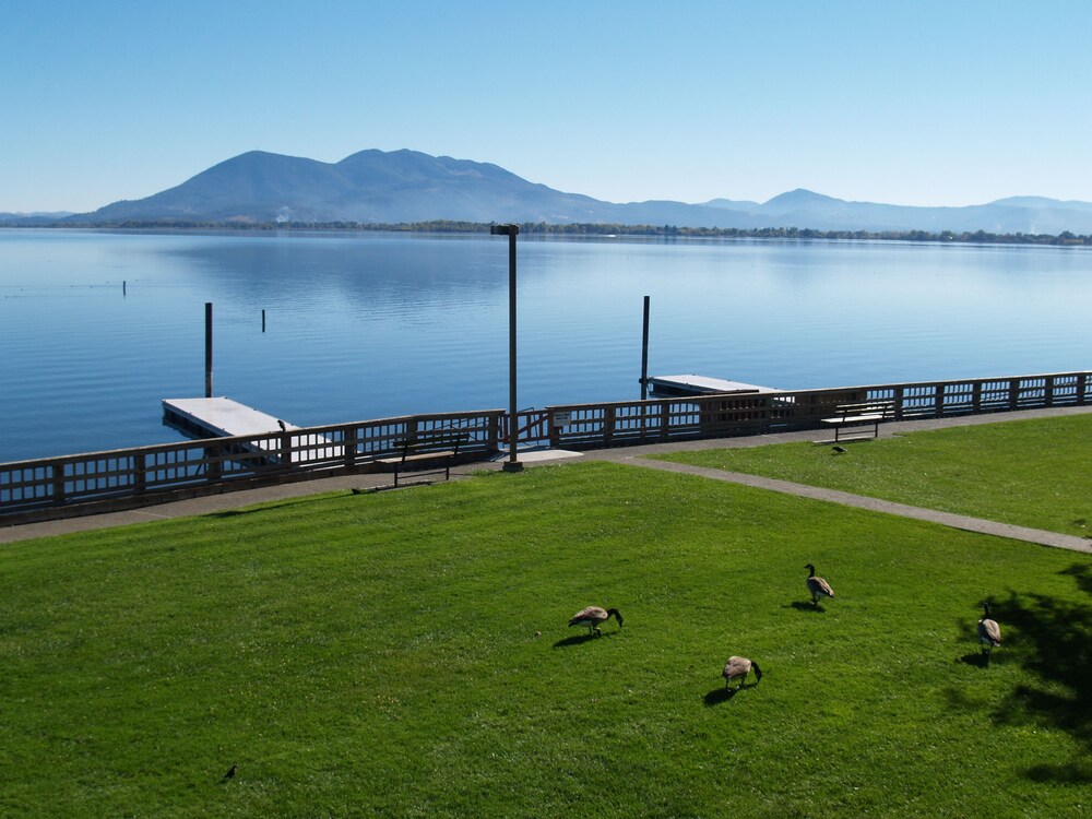 Skylark Shores Resort - photo 86