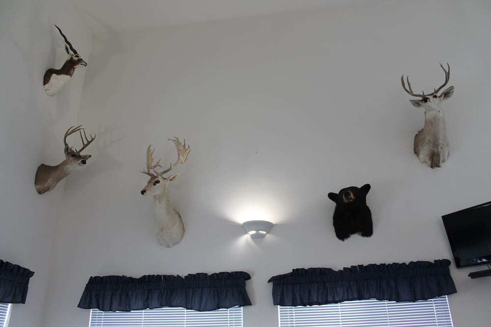 American Host Inn - photo 32