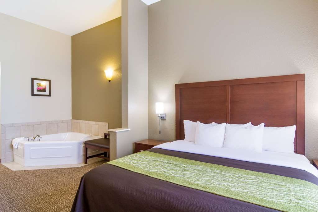 Comfort Inn Blackshear Hwy 84 - photo 12