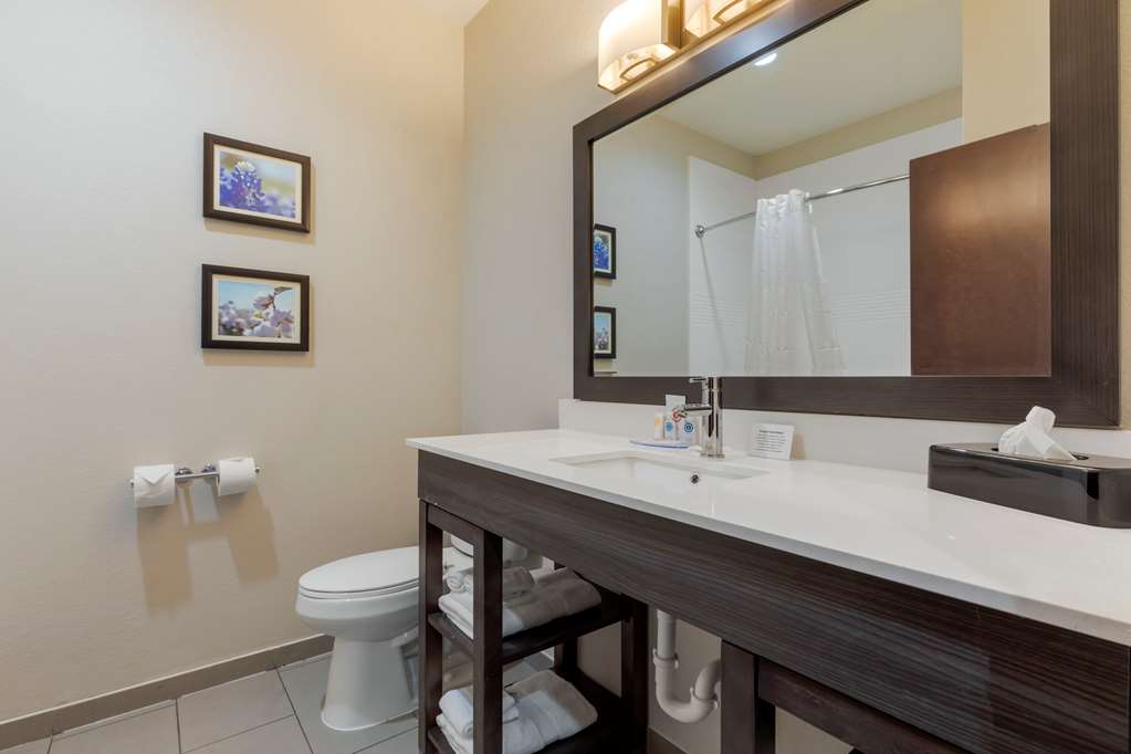Comfort Inn & Suites Balch Springs SE Dallas - photo 12