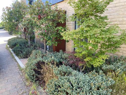 Homely & Warm Trumpington House w Parking 5 mins drive to Bio Medical Campus Addenbrooke's & Papworth hospitals — 4-Star Luxury Hotel in Cambridge, United Kingdom