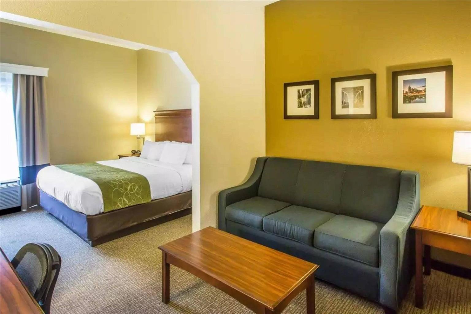 Comfort Suites Cookeville - photo 32