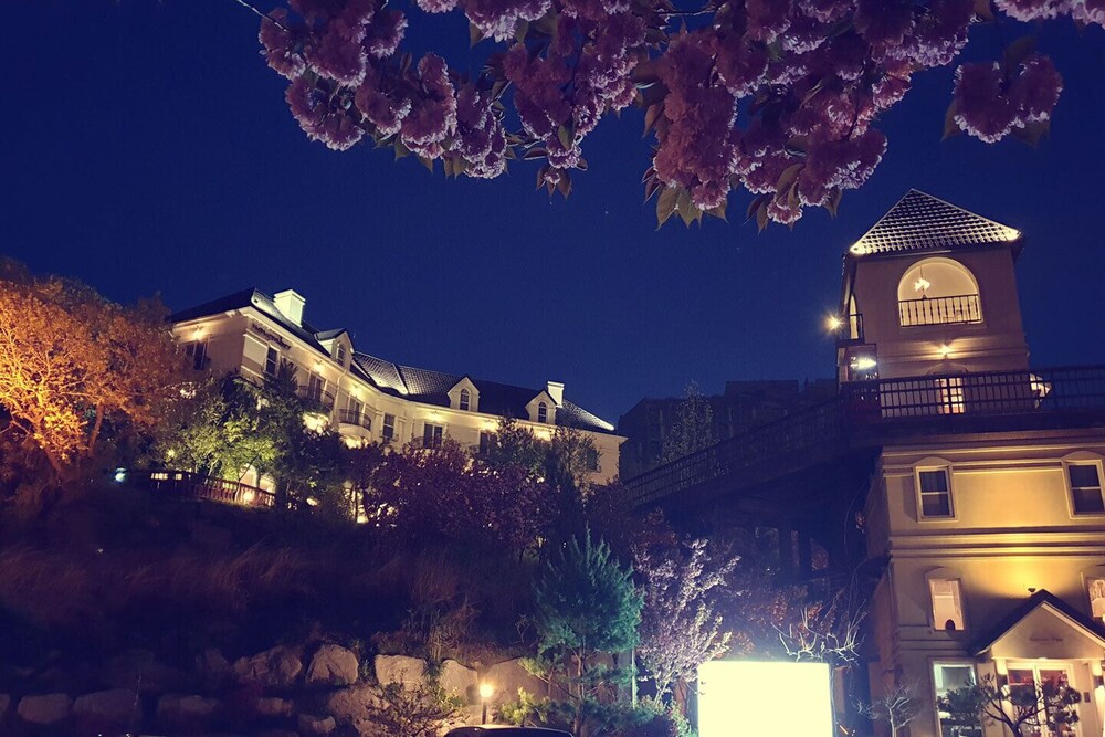 Hotel November in Gangneung, South Korea