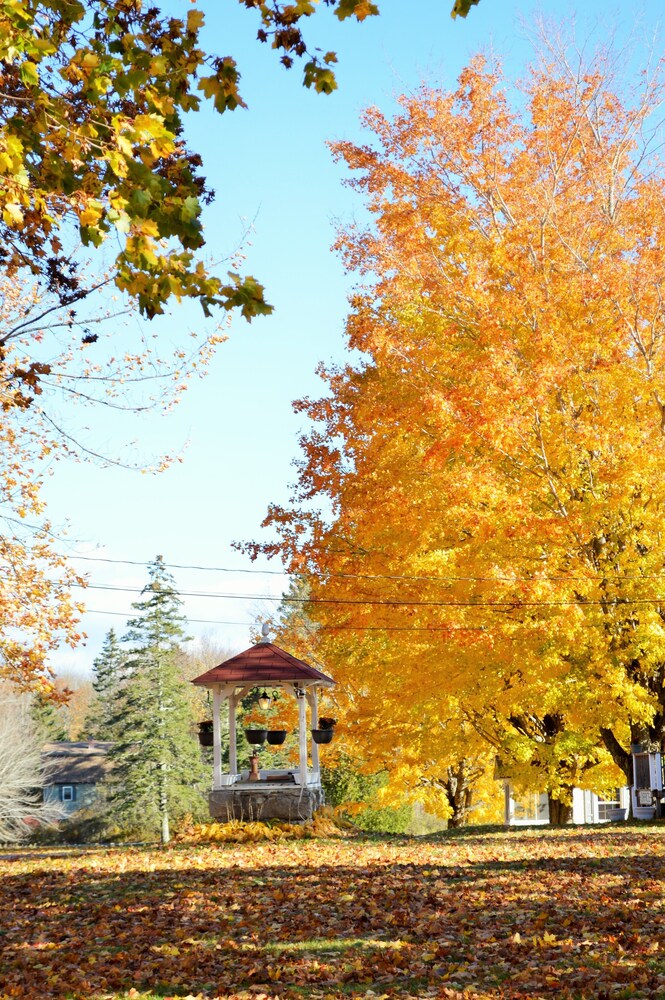 Eden Village Motel & Cottages - photo 17