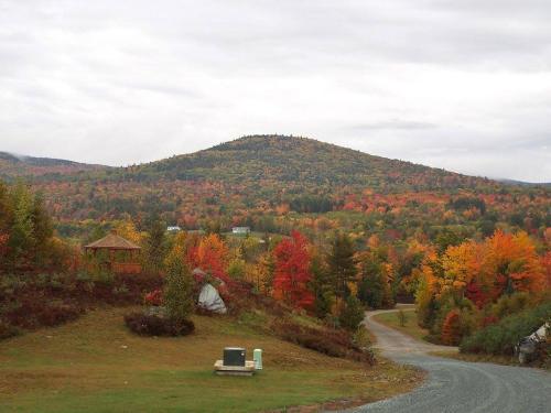 Wells River Motel - photo 7
