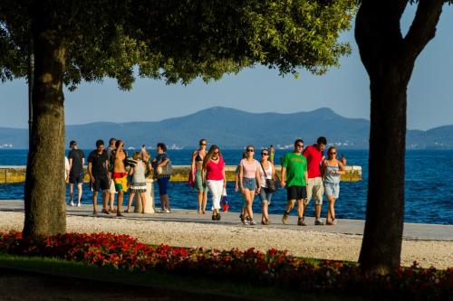 Apartments Sea Organ Zadar — 4-Star Luxury Hotel in Zadar, Croatia