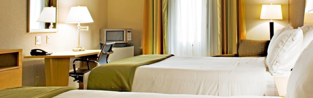 Holiday Inn Express & Suites Borger by IHG - photo 2