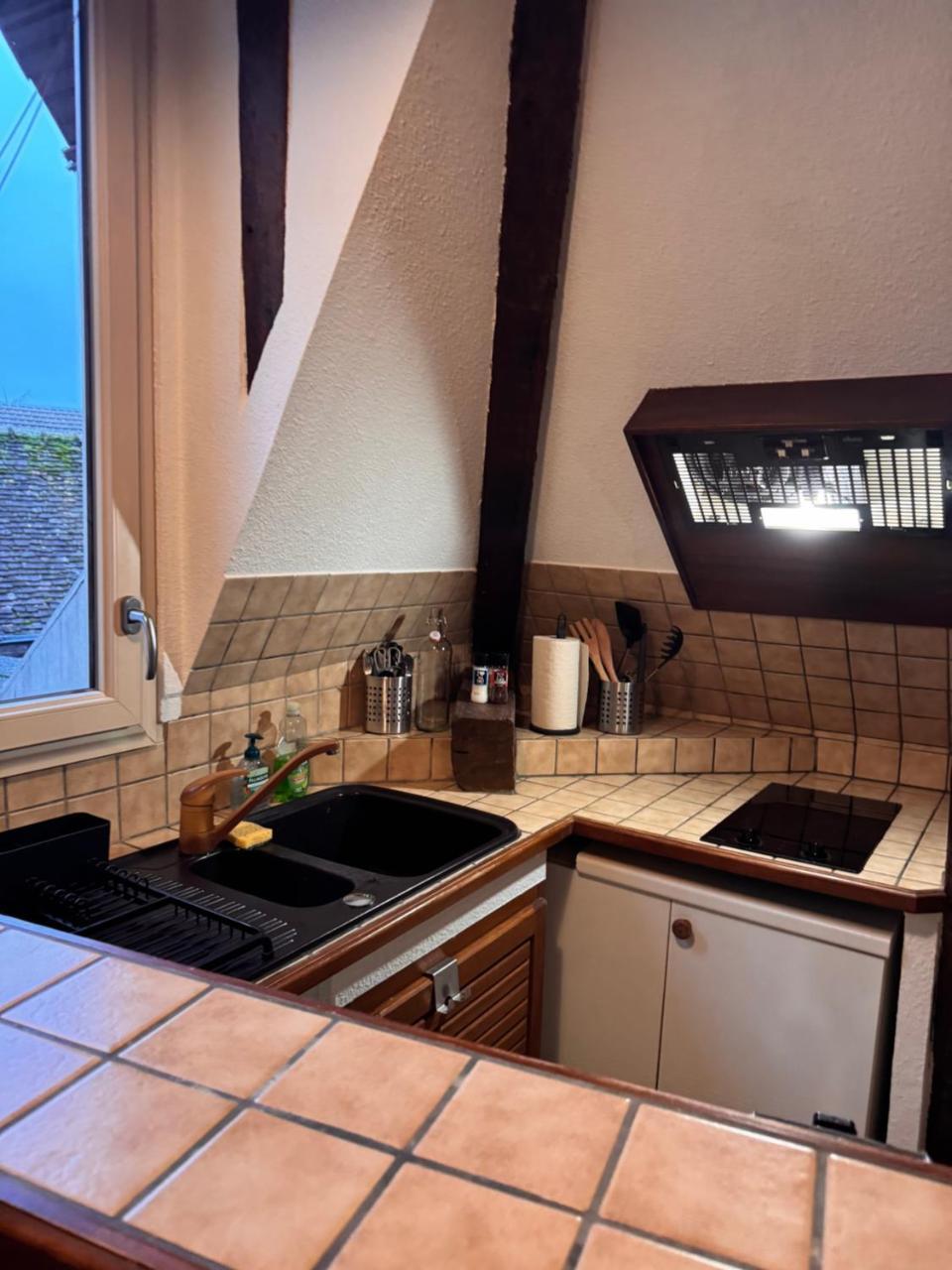 L’atelier Logis D’artiste Centre Historique in Troyes, France