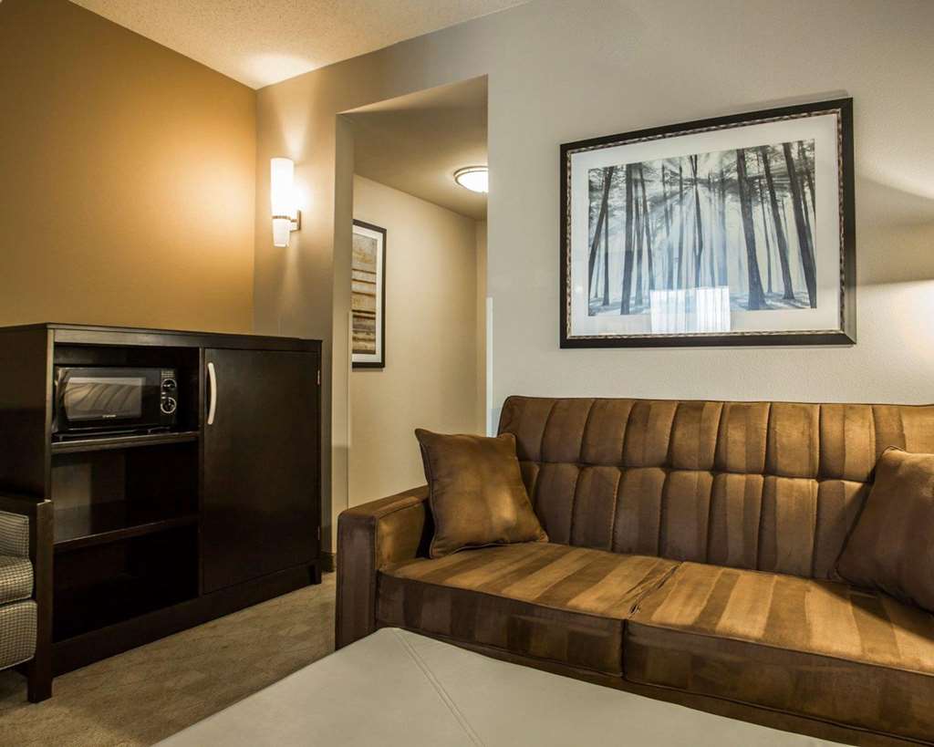 Comfort Suites Huntersville near Lake Norman - photo 27