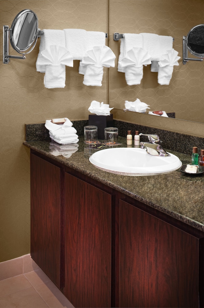 Sheraton Detroit Metro Airport - photo 17