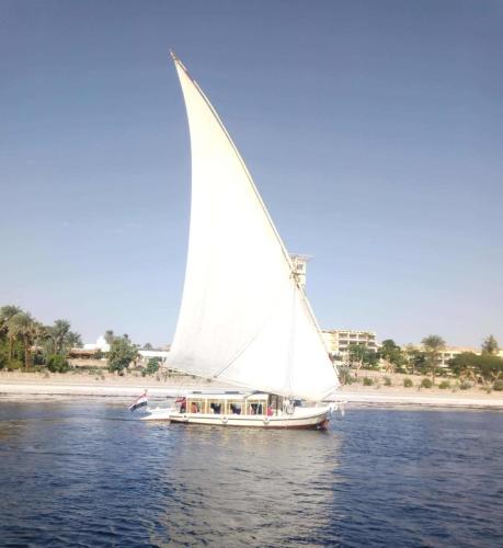 Nile Felucca Adventure in Aswan, Egypt