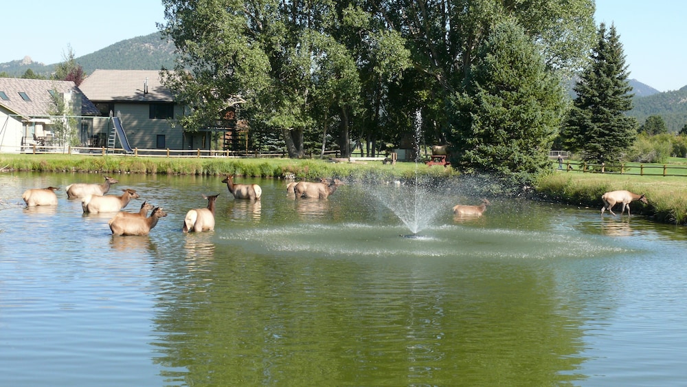 Discovery Lodge - photo 119