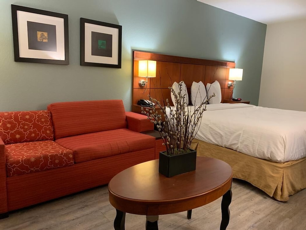 The Hotel Orange - photo 12