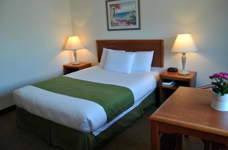 Paradise Inn and Suites - photo 13