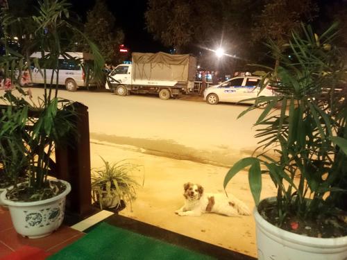 Hoa Mai Trang Sapa Hotel in Sa Pa, Vietnam