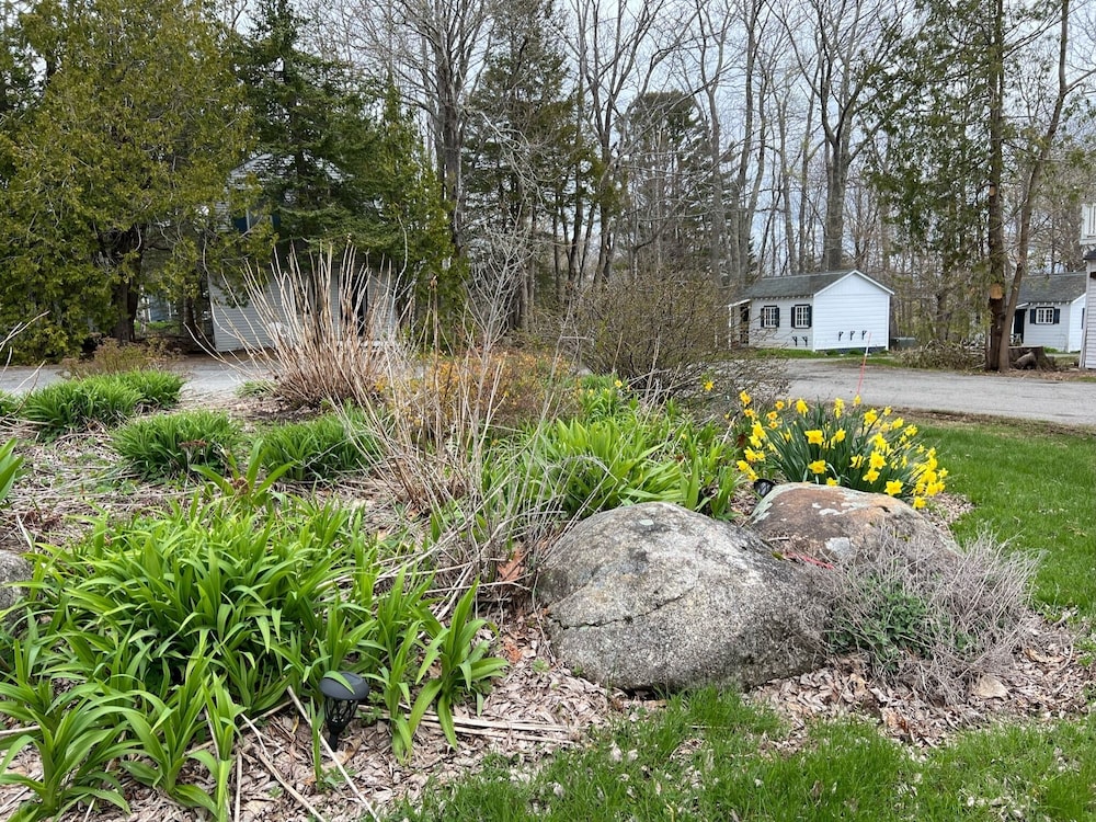 The High Tide Inn - photo 76