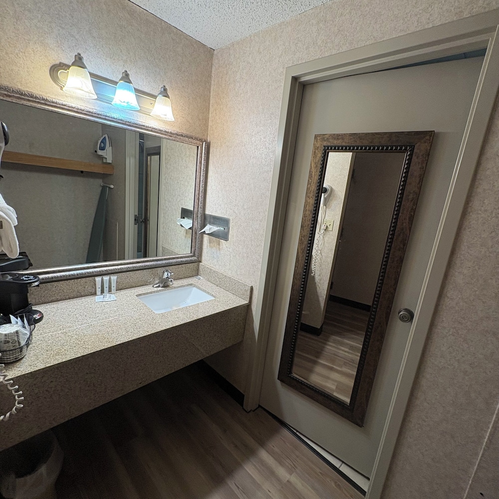Bismarck Hotel and Conference Center - photo 22