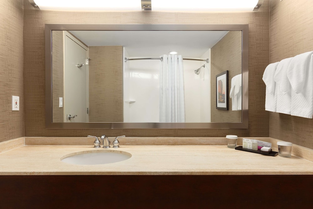 Embassy Suites by Hilton Baltimore at BWI Airport - photo 26