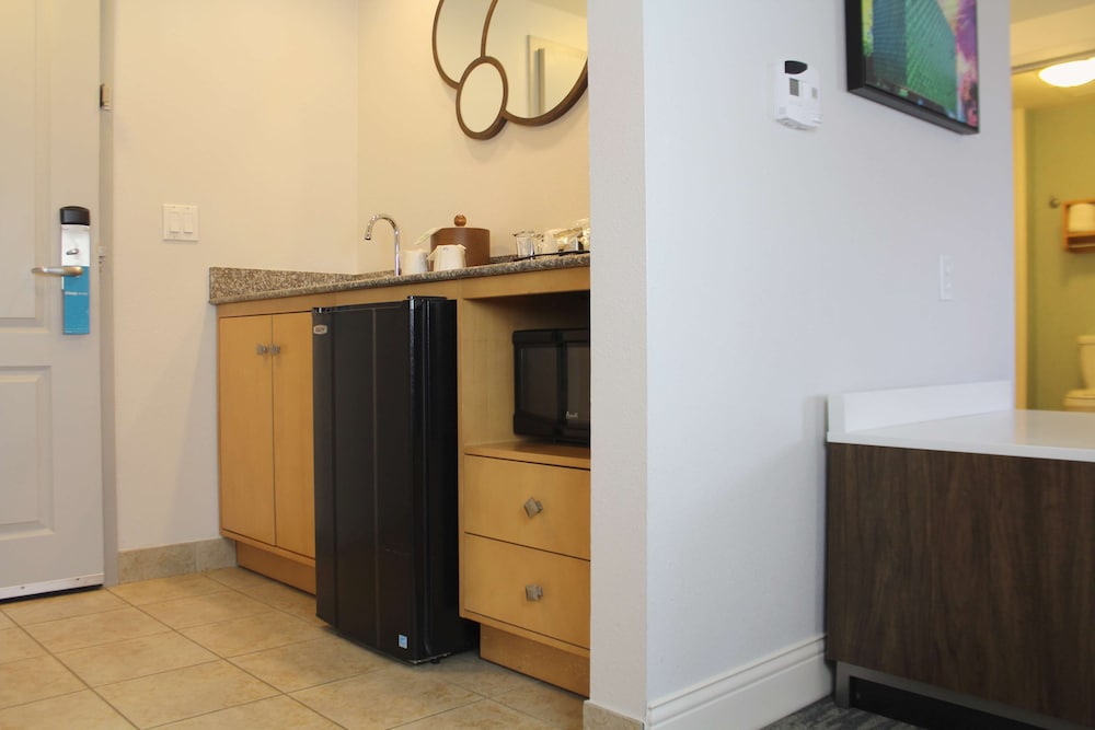 Hampton Inn & Suites Sarasota Bradenton Airport FL - photo 32
