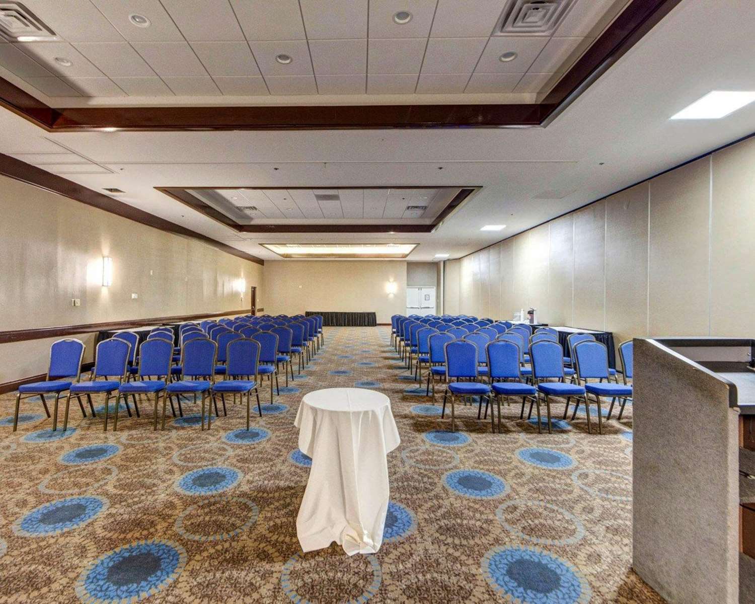 Comfort Inn and Suites Plano East - photo 8