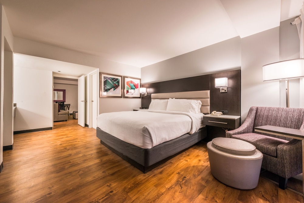 Holiday Inn Hotel & Suites Beaumont Plaza by IHG - photo 8