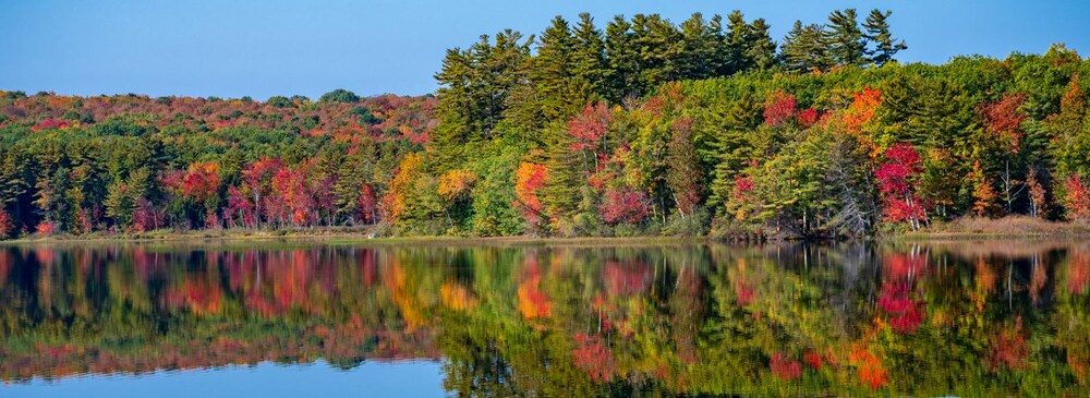 Wolf Cove Inn - photo 82