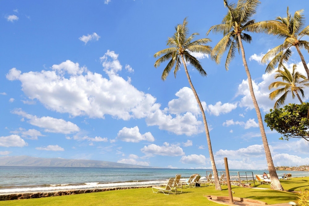 Panoramic Ocean View 1br Condo Suite 150 Feet From The Ocean At Papakea Ocean Front Resort 1 Bedroom Condo by RedAwning - photo 28