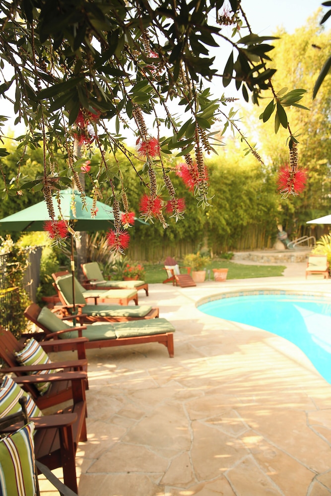 Blue Iguana Inn - photo 62