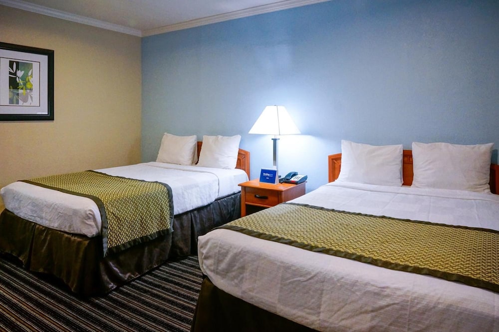 Hotel Parmani - photo 31