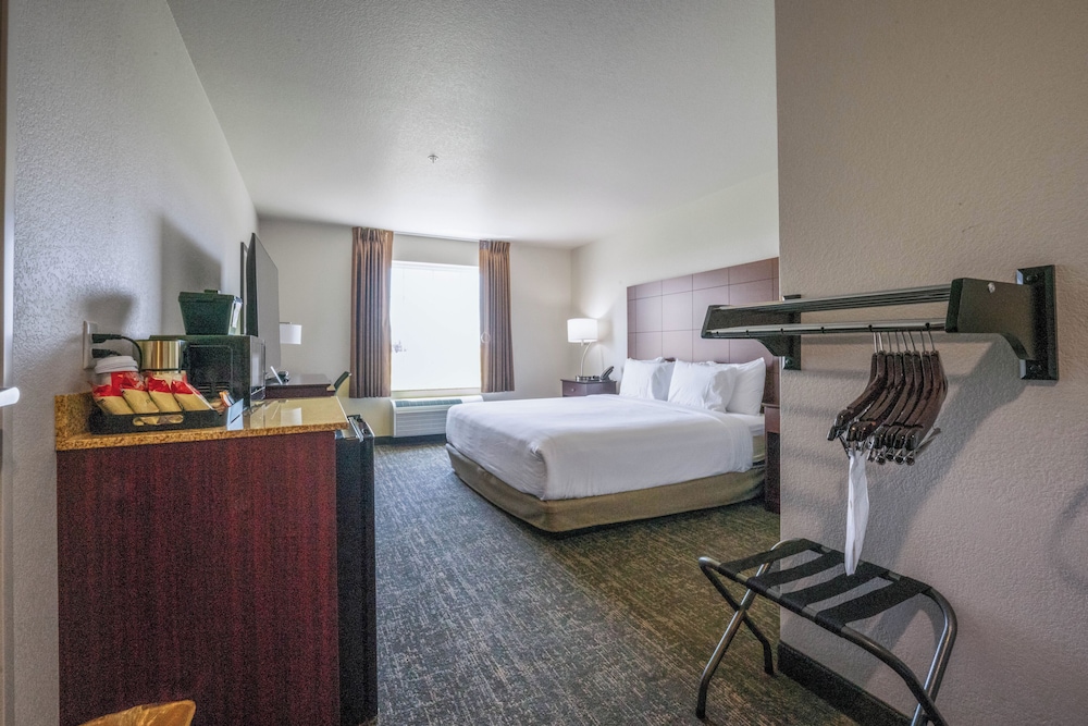 Cobblestone Inn & Suites Boise City - photo 21