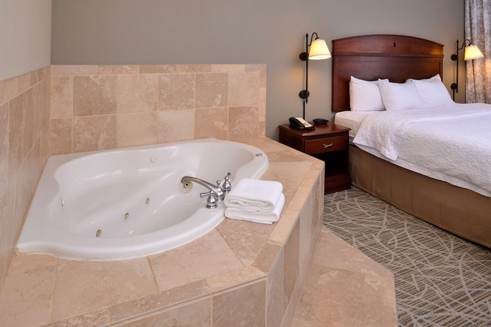 Hampton Inn by Hilton Litchfield - photo 10