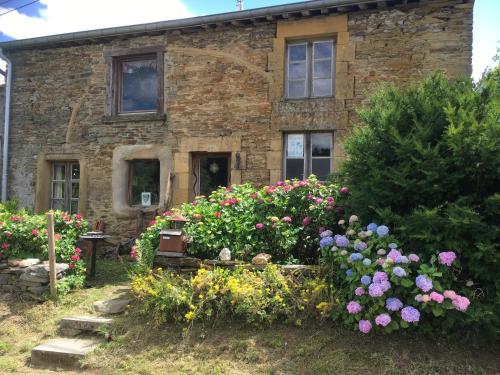 La Boutique Naturelle - carbon neutral hotel in Unknown City