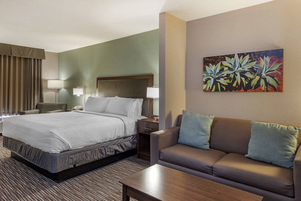 Holiday Inn Express & Suites Indio Coachella Valley by IHG - photo 18