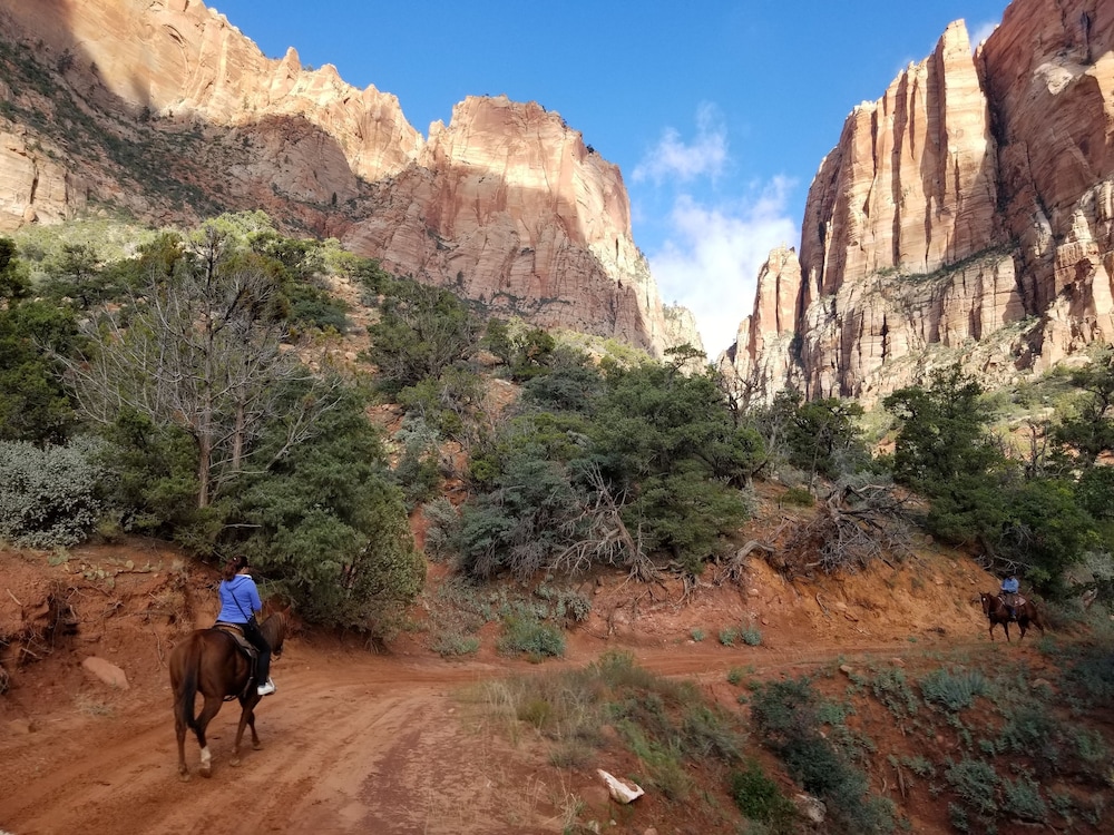Zion's Most Wanted Hotel - photo 56