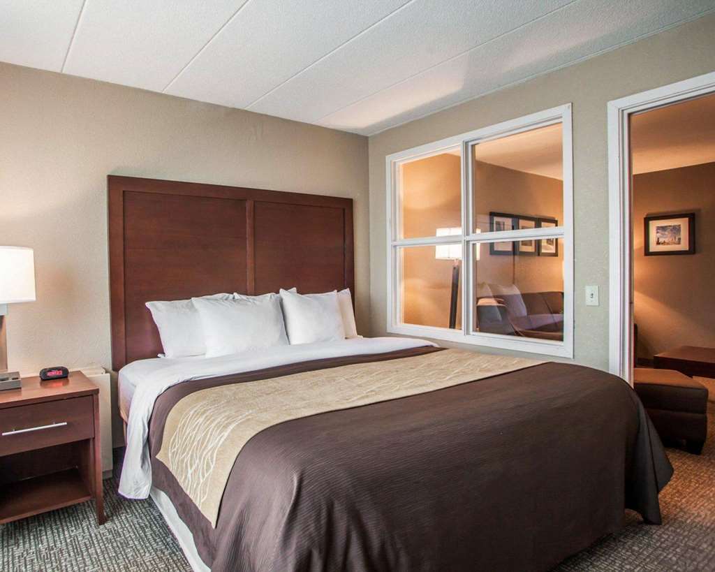 Quality Inn & Suites Orland Park Chicago - photo 25