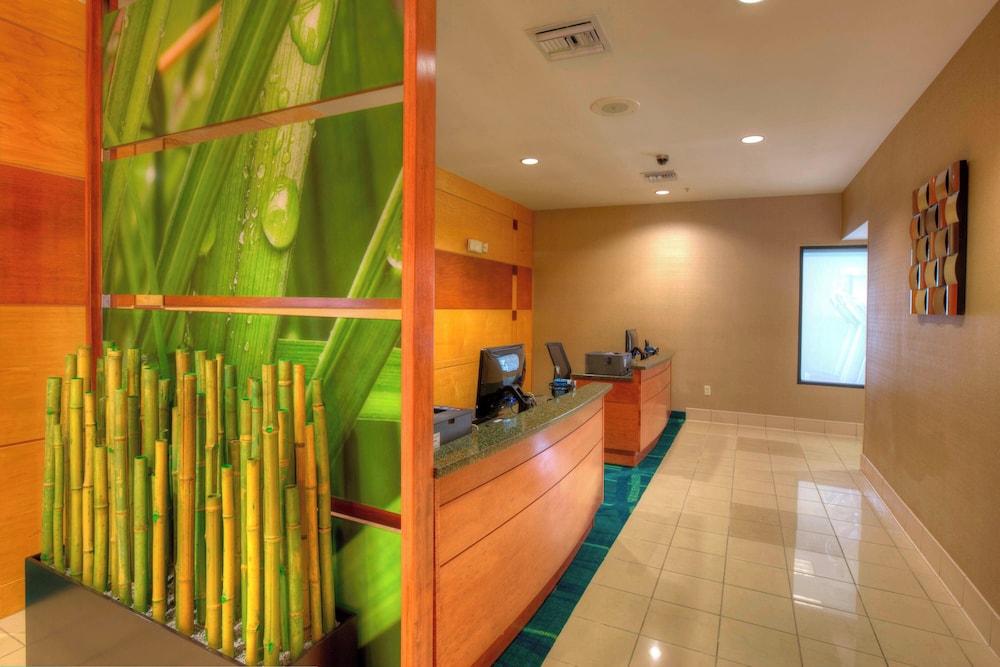 Springhill Suites by Marriott Tampa Brandon - photo 13