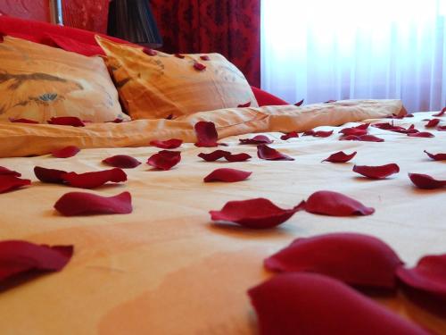 Amour Rouge Suite — Galati — photo 3