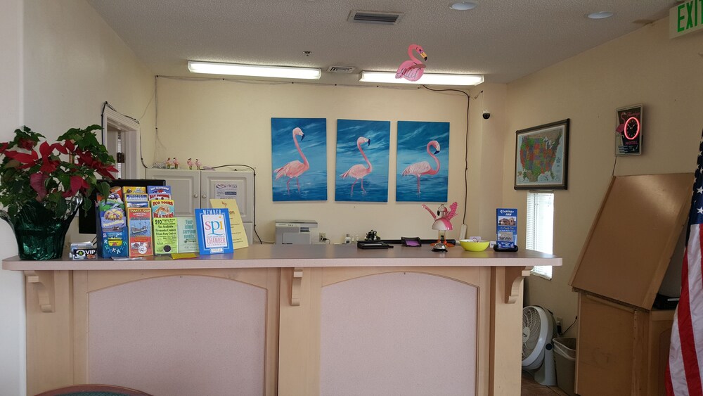 Flamingo Inn - photo 2