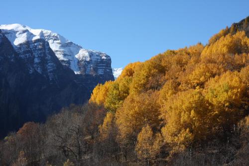 Hotel Restaurant Gites Les 5 Saisons — Briancon — photo 2