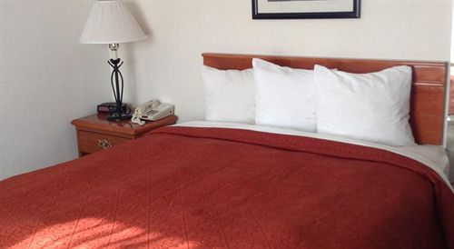 Portofino Beach Inn - photo 7
